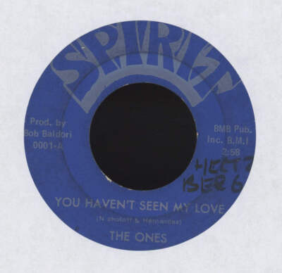 #ad The Ones You Haven#x27;t Seen My Love on Spirit Soul Garage 45 $17.99