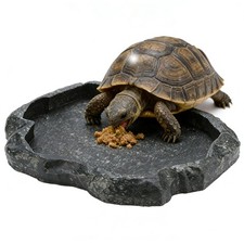 Tortoise Water Bowl Reptile Food Dish Shallow Rock Feeder 7.1x5.5x0.8 Inch