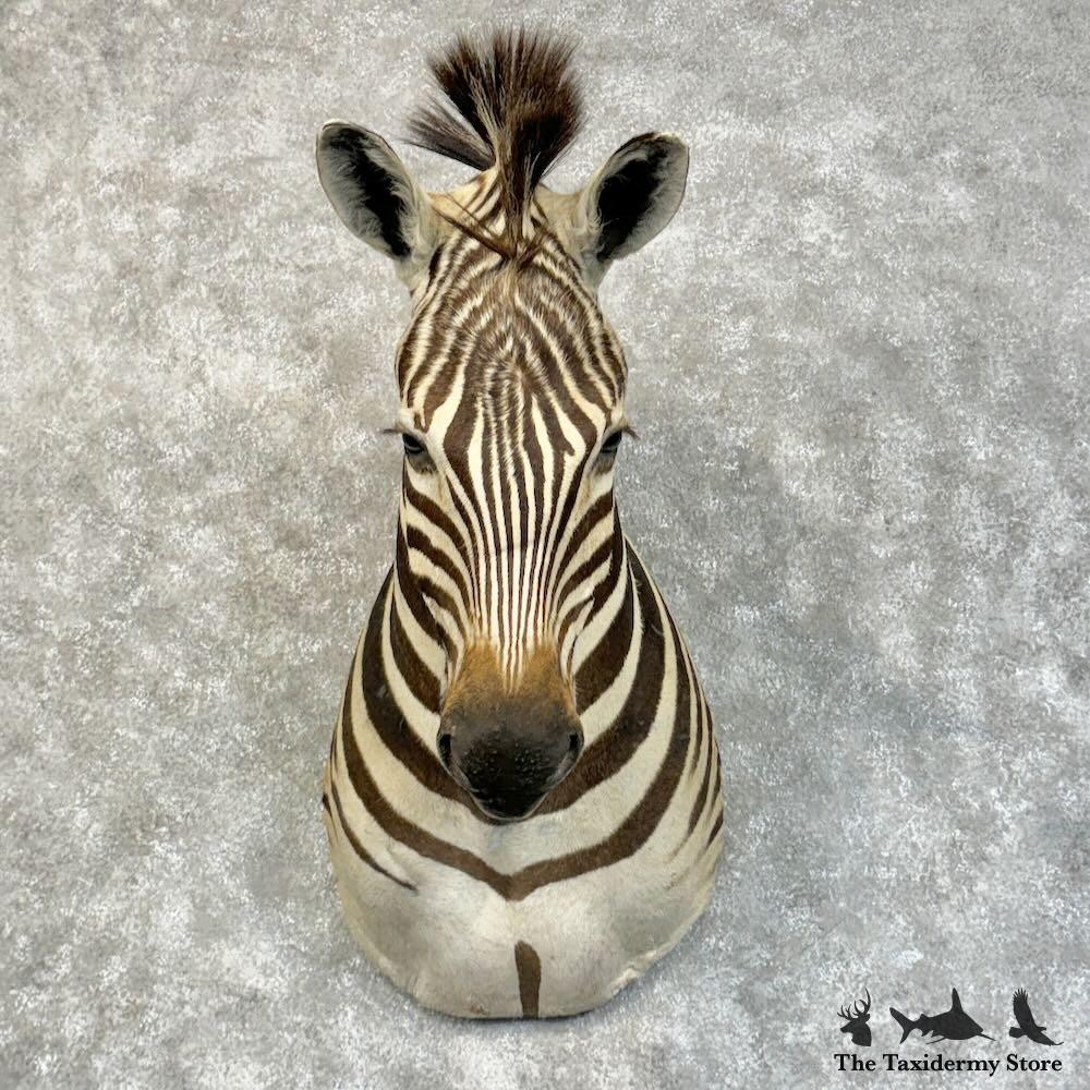 Safari te paard in Botswana - Botswana Specialist