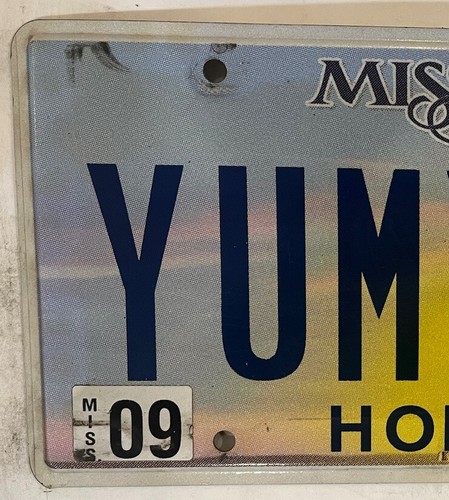 Vanity YUM YUM License plate Delicious Food Taste Sauce Chef Cook Eat Restaurant - Picture 5 of 9