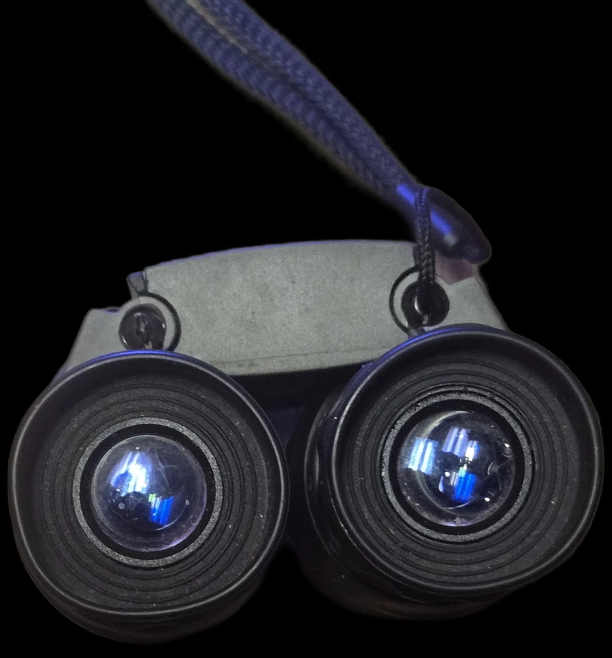 DISCOVERY 12×25 BAK-4 BINOCULARS 2003 DCI WITH CASE - Image 3 of 4