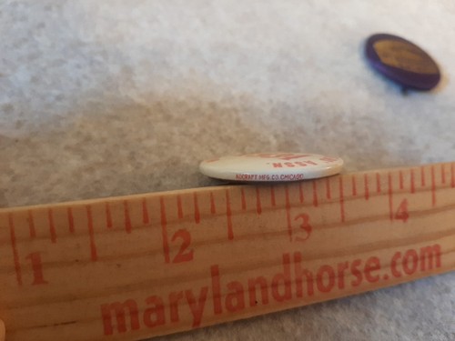 Prendedores de botón Pinback vintage Wisconsin Cheese Makers Assn 1934 y WISCONSIN DAISY - Imagen 3 de 9