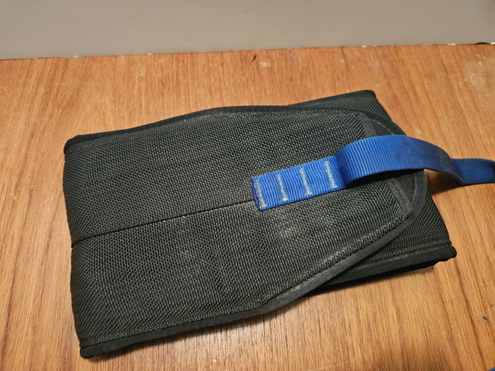 Ironmind De Rigueur Dipping Belt Pull Up Chin Up