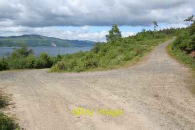 Foto 6x4 Forststraße oberhalb Loch Fyne Lephinmore\/NR9892 um 2008