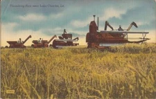Lake Charles, LOUISIANA - Rice Thrashing - Combines