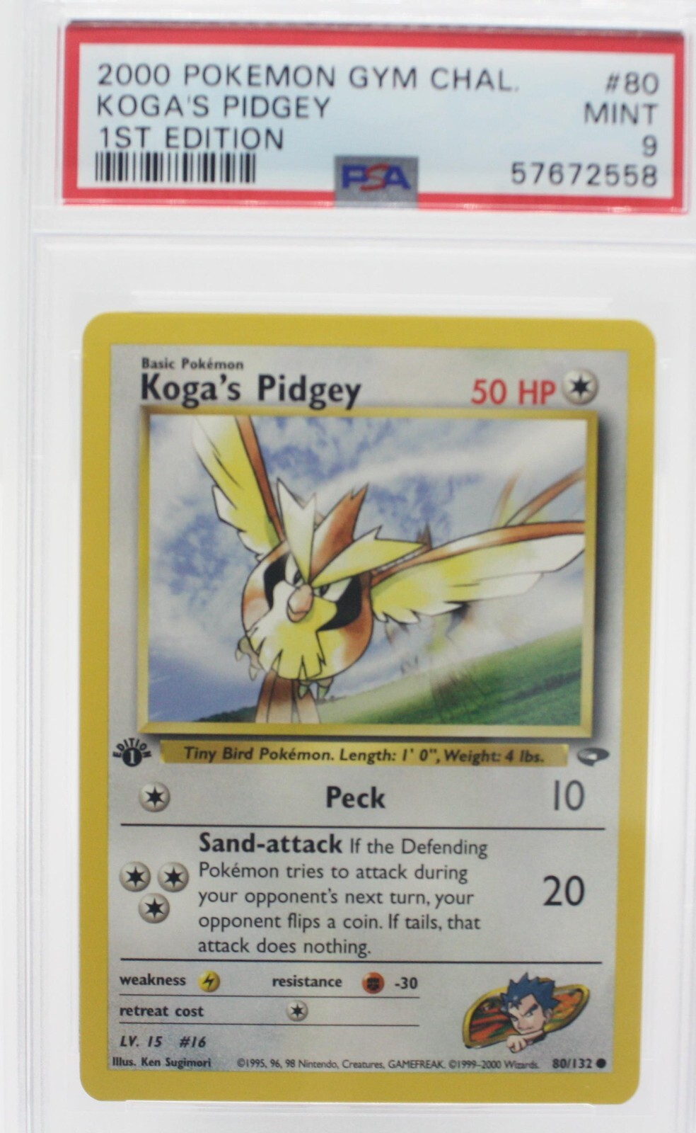 PSA 9 MINT 2000 Pokémon Gym Challenge #80 Koga's Pidgey 1st Edition !!!