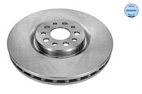 2X Meyle Bremsscheibe 40-15 521 1004 FüR CitroËN Passend FüR Fiat Lancia