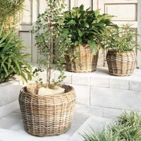 Natur Rattankorb Gini Natural Grey Ca.52X36Cm Pflanzkorb ÜBertopf Korb