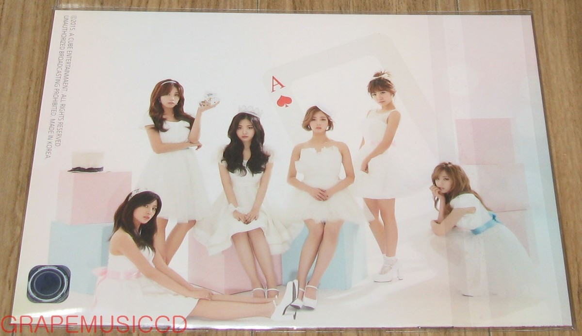 APINK 1ST CONCERT PINK PARADISE OFFICIAL GOODS PHOTO PAMPHLET NEW