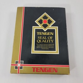 Tengen Gauntlet Game for NES Box, Manual, And Foam 
