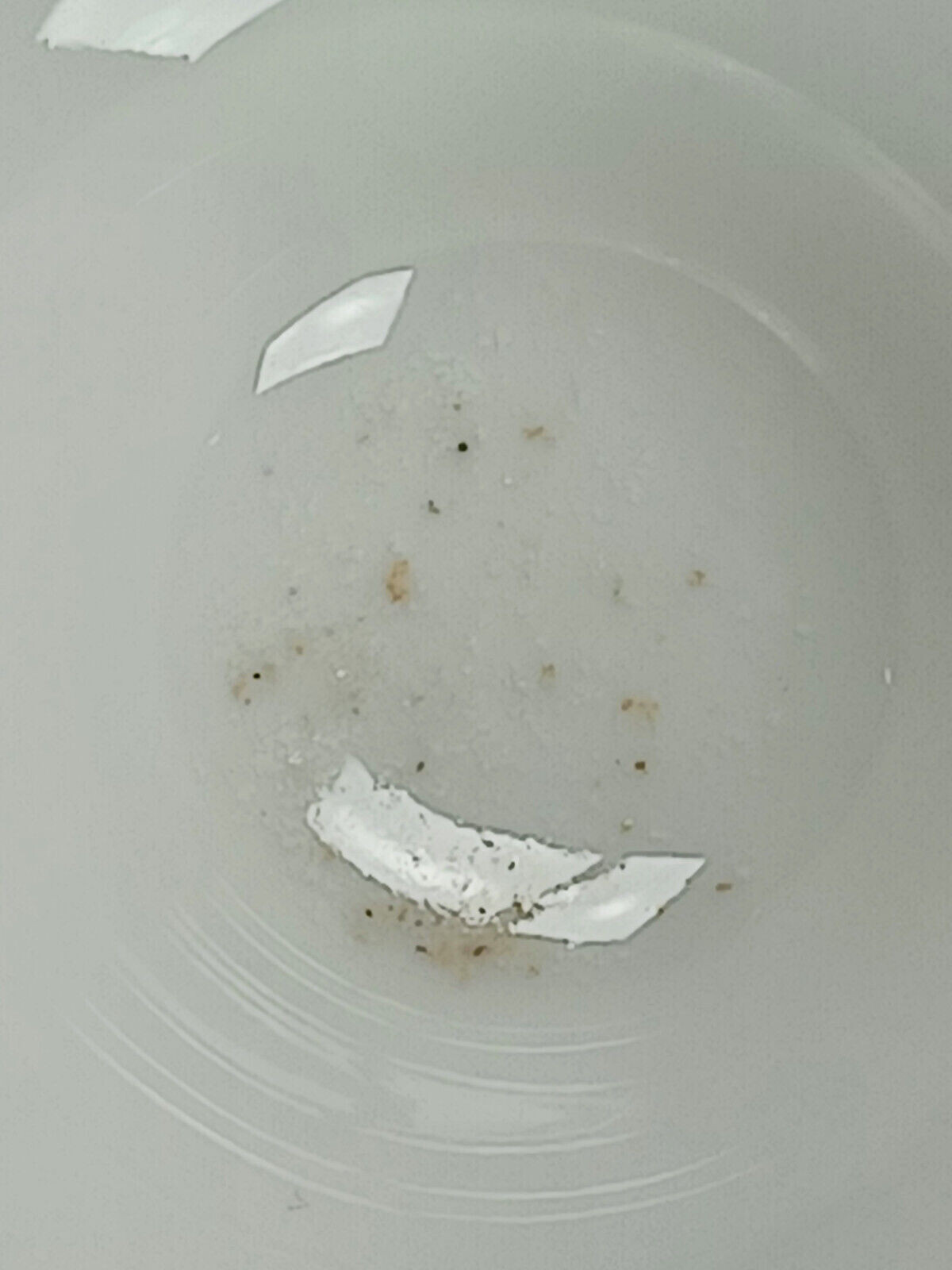 Picture 17 of 18