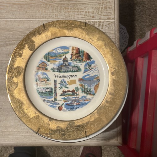 Bundle Of 19 Vintage Souvenir State Plates. Multiple States, Places And Sizes - Picture 19 of 24