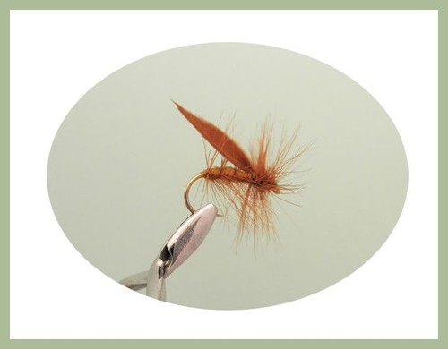 Sedge Trout Flies, 24 Boxed Set, 6 varieties, Named in description - NBX92 - Picture 2 of 6