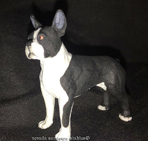 Safari USA Best in Show Black and White Boston Terrier - Picture 2 of 4