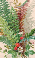 Victorian Card Lovely Fern & Flowers Embossed