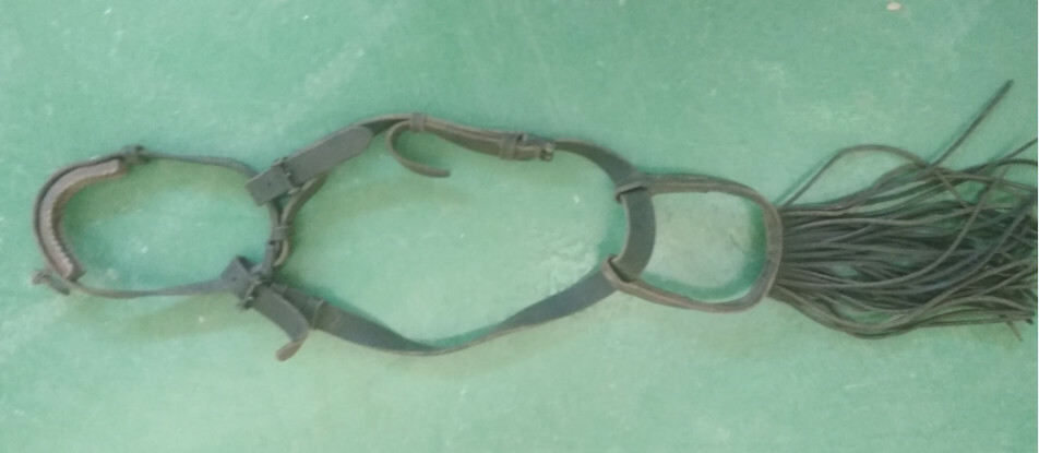 CABEZAL DE CUERO CON SERRETA Y FLECOS PARA CABALLO
