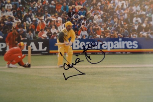 Cricket Collectable - 1994 - Colour Photo - In Action - David Boon - signed - Picture 2 of 4