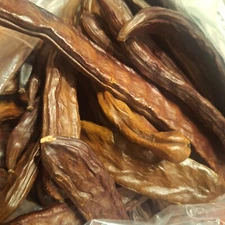 30 Carob Tree Seeds "Ceratonia Siliqua" wild-crafted Biblical fruit *seeds only*