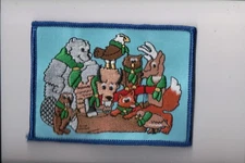 Woodbadge patch