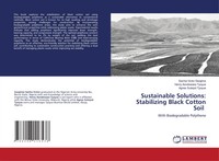 Sachia Victor Gwajime (U. A.) | Sustainable Solutions: Stabilizing Black...