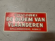 Insegna Vintage Belgio Chicorei De Bloem Van Vlaanderen Spillemaeckers Gebrders