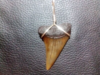 1.8 Mako Shark Tooth Pendant With Sterling Silver Hand Wrap