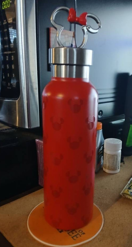 Disney Minnie Mouse Red Water Bottle Insulated Stainless Steel Thermos Clip 19oz
