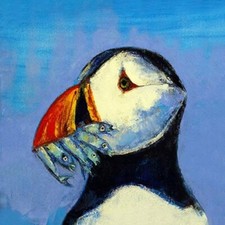 Puffin Happy Birthday Blank Greeting Card Jane Faires Art