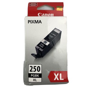 250 pgbk