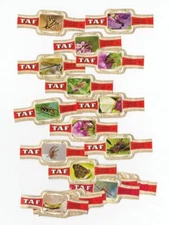 24 cigar bands Taf Insects +Taf iss in 1975