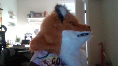 fursuit