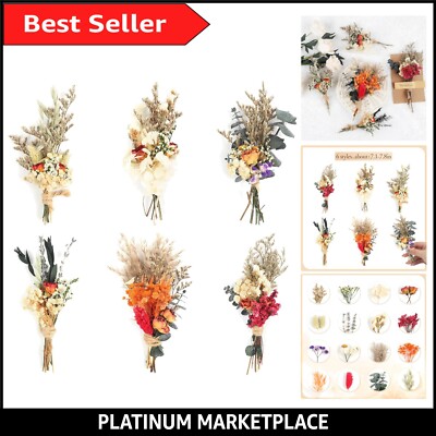 Natürliche Trockenblumensträuße Set - 6 Stück Boho Style zum Selbermachen & Verschenken