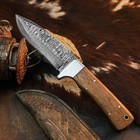 8.8" inch Handmade Damascus Hunting Knife Full Tang Wood Handle Leather Sheath — photo 5