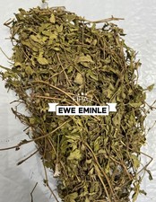 Ewe Eminle/Euphorbia hirta/Spiritual cleansing