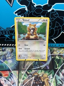 Bidoof 116/160 XY - Primal Clash Regular