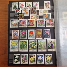 Plants flowers motif collection in albums approx. 48 pages