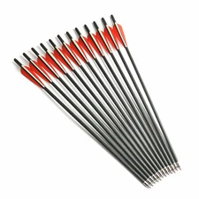 6Pcs Fiberglass Arrows 20" 8.8mm Arrow Archery Bow Changeable Tips Shoot Hunting