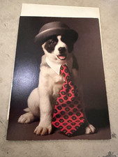 California Dreamers The More I See Men The More I Like Dogs Birthday Card