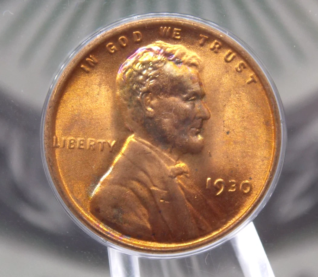 MS 67 Graded 1930 Year Lincoln Wheat US Small Cents (1909-1958