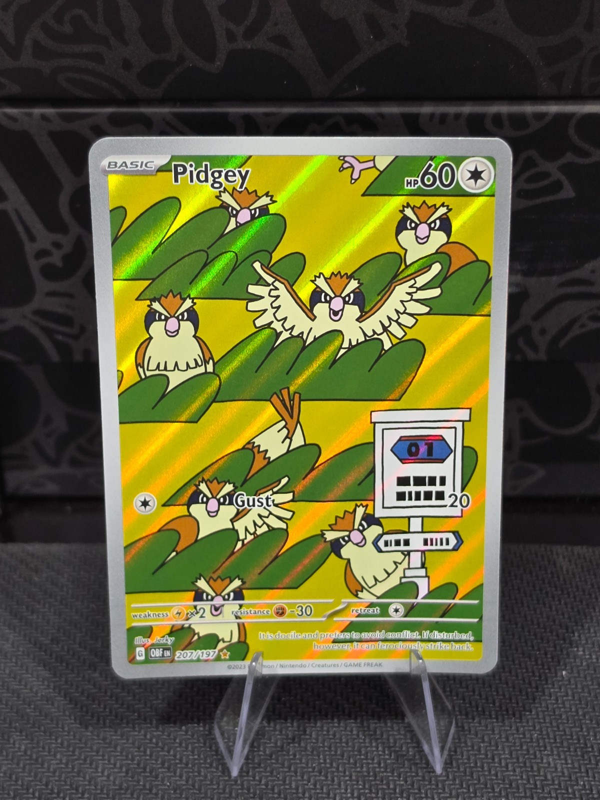 Pokemon Obsidian Flames PIDGEY Holo 207/197 NM