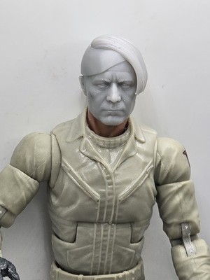 3d Print FIVE ELEMENTS EVIL ZORG HEAD 1:12 6'' Classified Legend Compatible