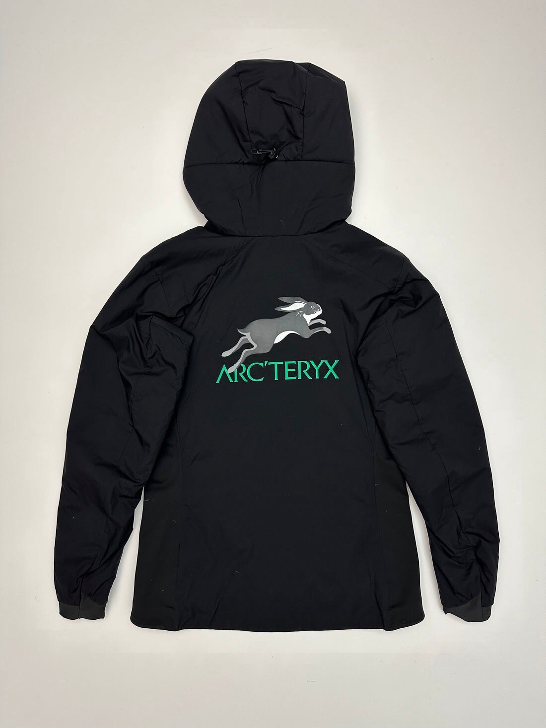 ARC'TERYX Arc’teryx Codetta Cappotto Marrone Donna XS Gore Tex