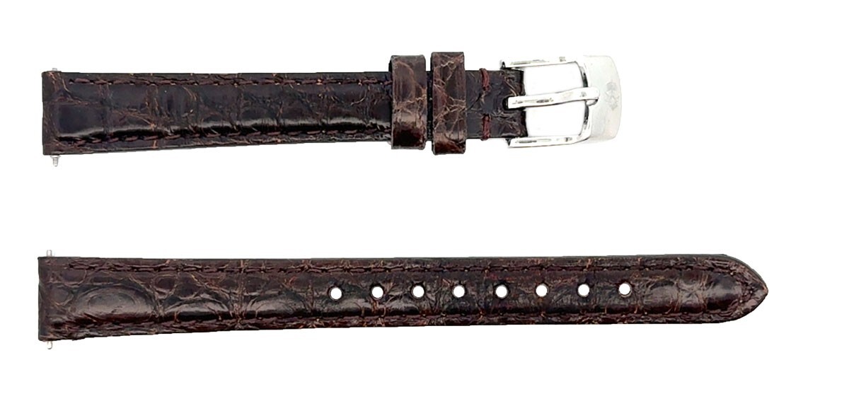 Michele Brown Alligator 12\
