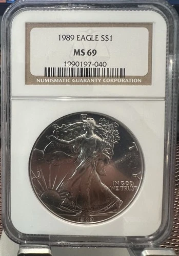 1989 American Silver Eagle NGC MS69 Brown Label -Blast White Gem!