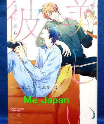 My Beautiful Man Utsukushii Kare Vol.6 - Yuu Nagira / Japanese BL Manga Book
