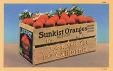postcard ca california sunkist oranges advertising crate.