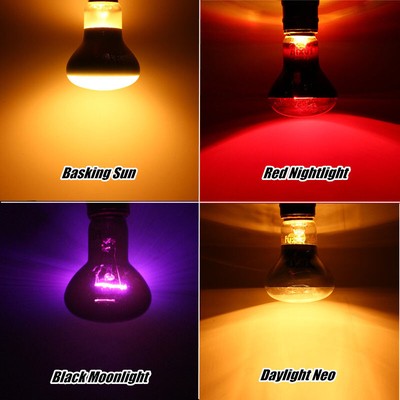 day and night reptile heat lamp