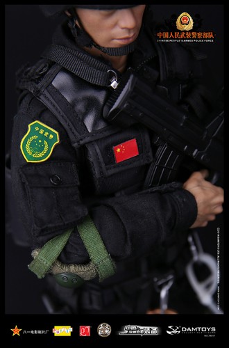 Damtoy 1/6 Chinese People's Armed Police Force Anti-Terrorism Force Figure - Picture 6 of 10