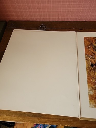 The Look of a Thoroughbred 8 Vntg Horse Prints C.W. Anderson Portfolio Man O War - Picture 13 of 24