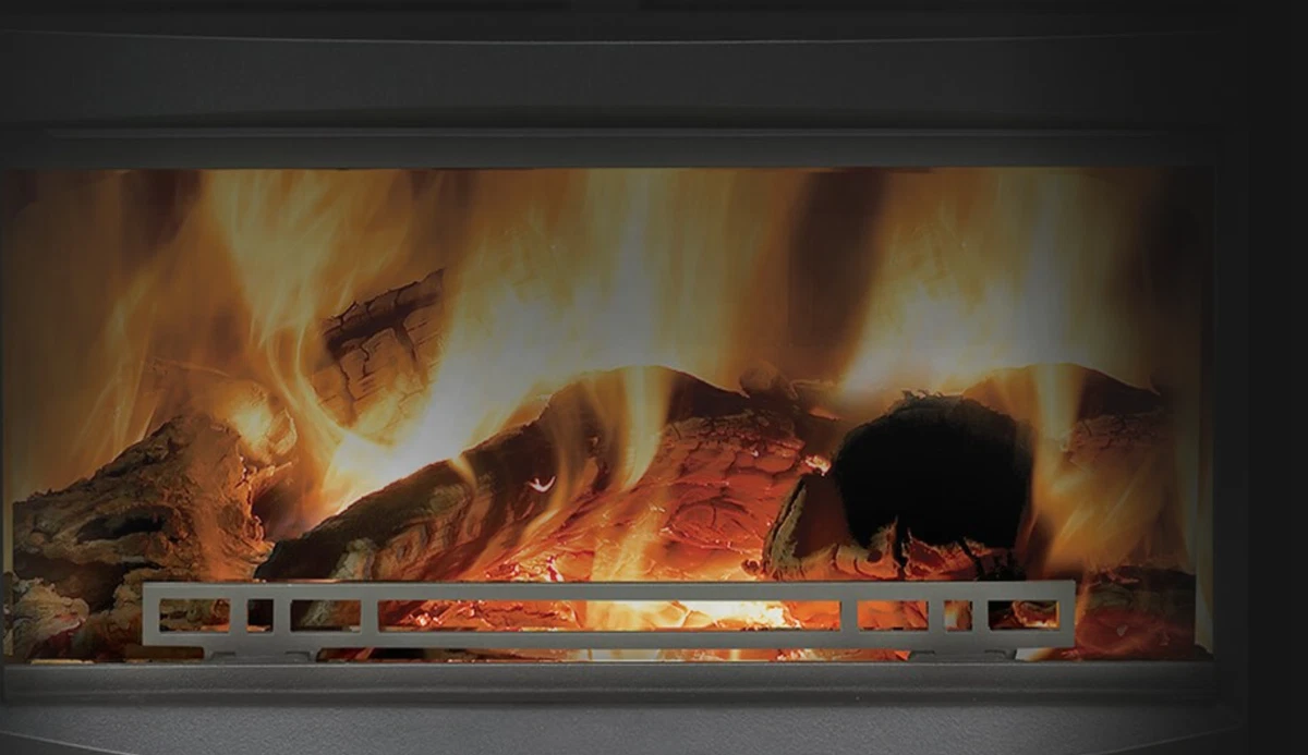 CLOSEOUT Napoleon EPI3C Contemporary Wood Burning Fireplace Insert Cast  Iron | eBay